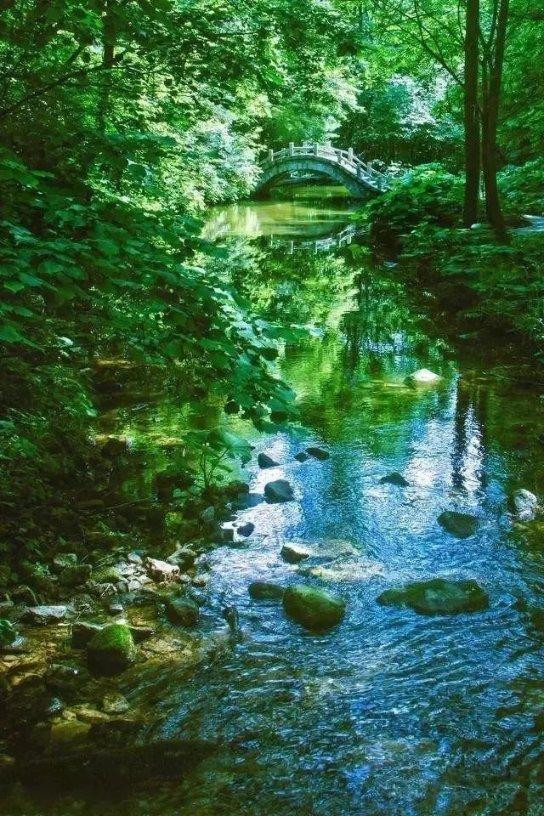 算术24点