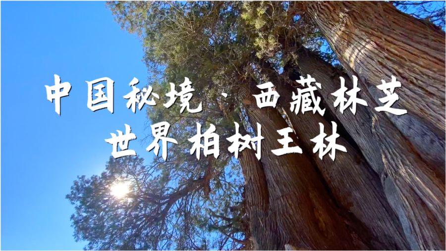 杜国栋|中国仲裁裁决在开曼的承认与执行:法律要求、挑战与实践